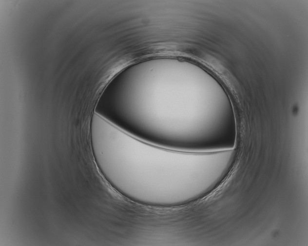 X0000098041289200803280745