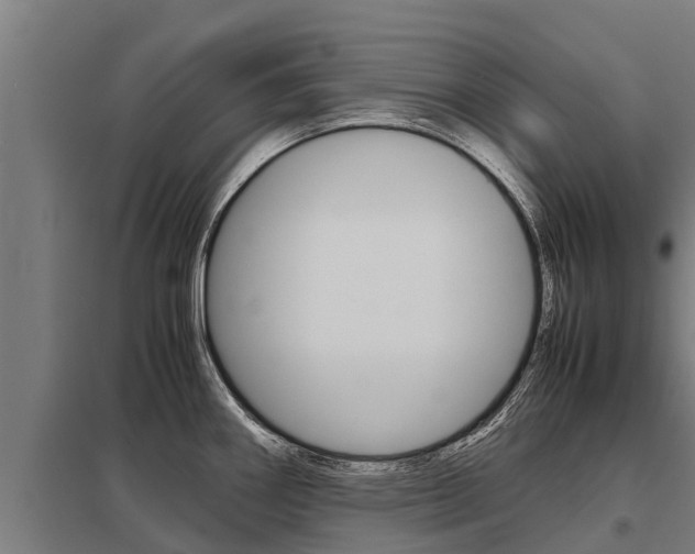 X0000098041290200803280745