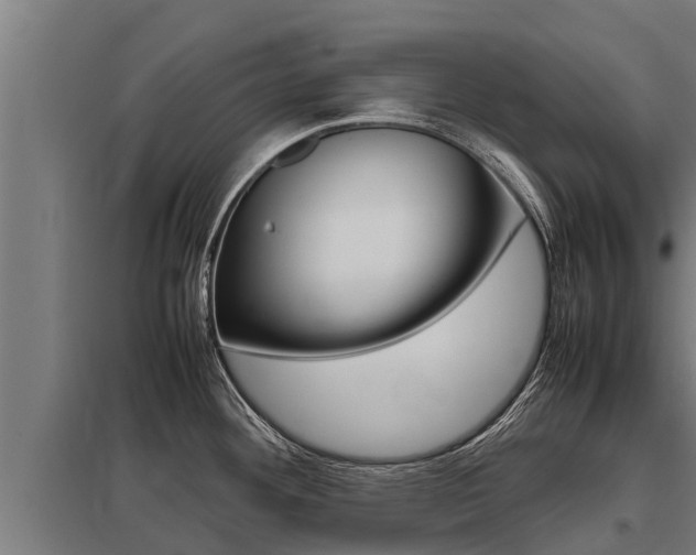 X0000098041292200803280745