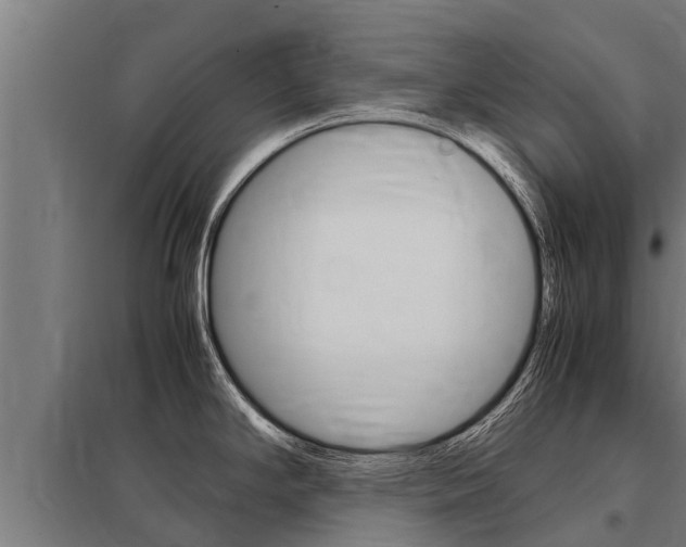 X0000098041294200803280745