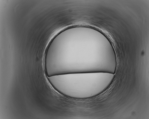 X0000098041295200803280745