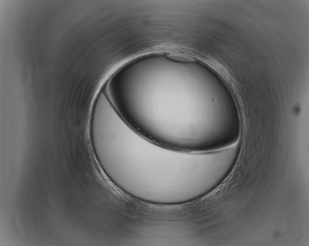 X0000098041296200803280745