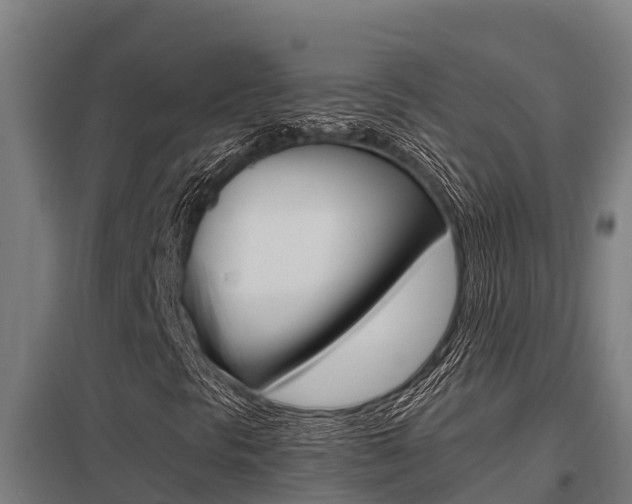 X0000098041297200803280745