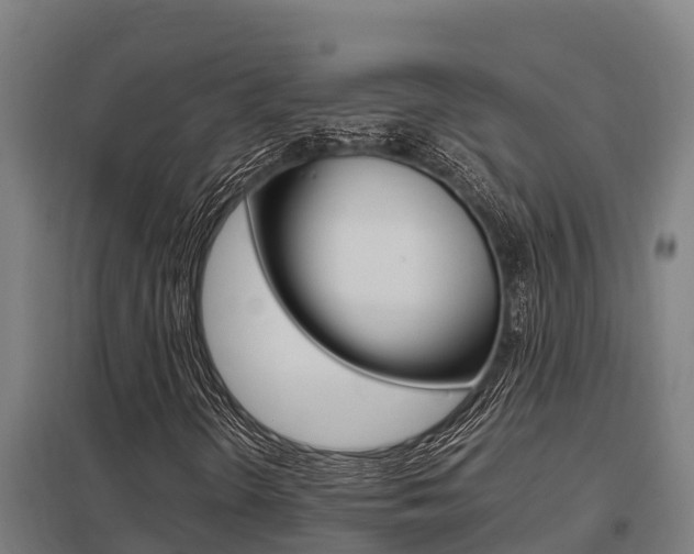 X0000098041298200803280745
