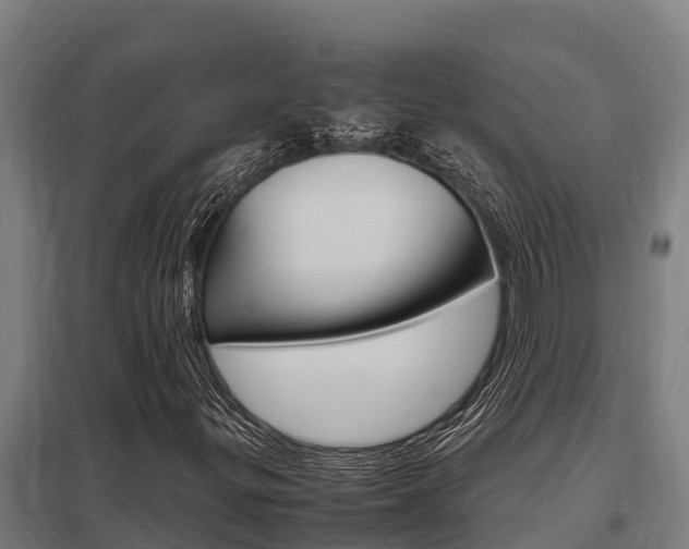 X0000098041299200803280745