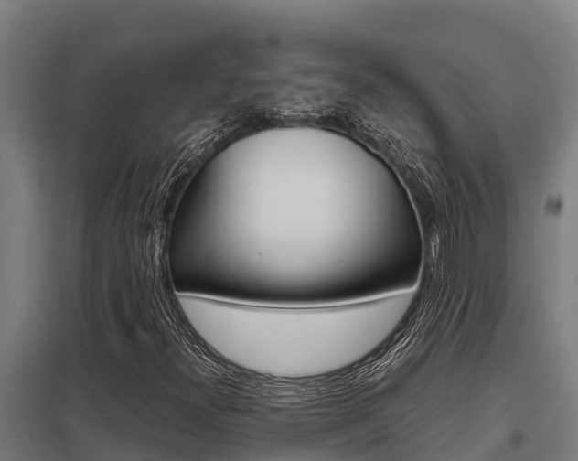 X0000098041300200803280745