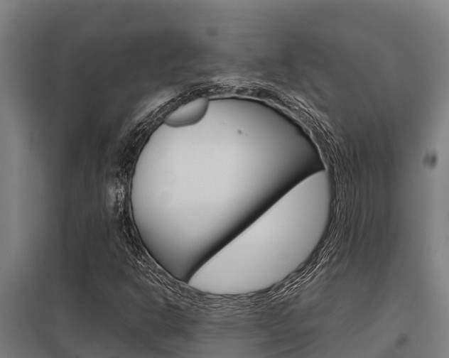 X0000098041302200803280745