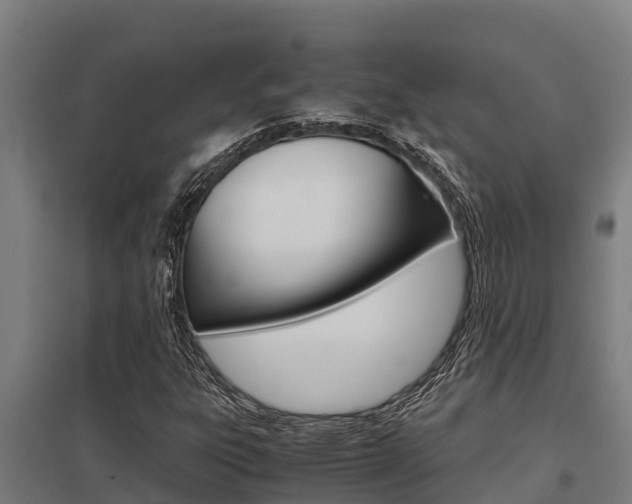 X0000098041303200803280745