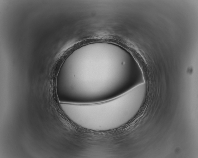 X0000098041304200803280745