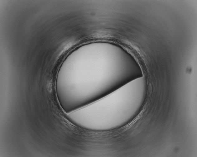 X0000098041306200803280745