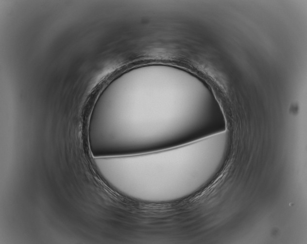 X0000098041307200803280745