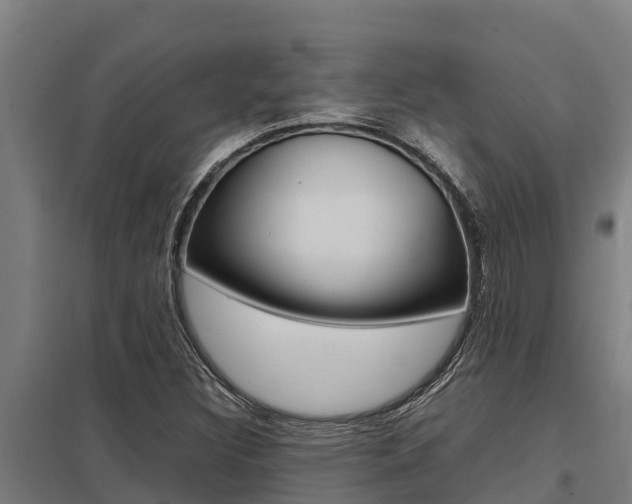 X0000098041308200803280745