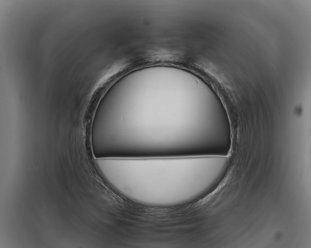 X0000098041309200803280745