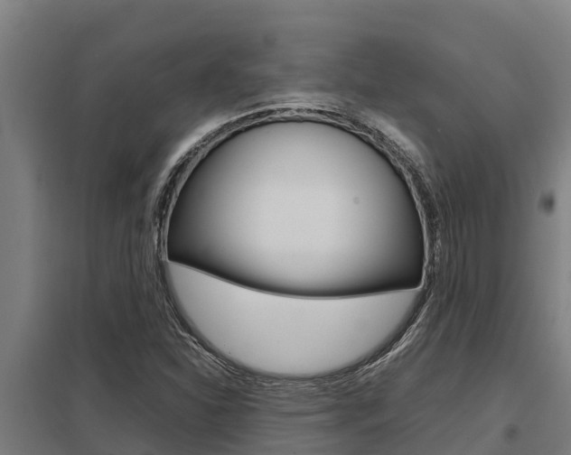 X0000098041310200803280745