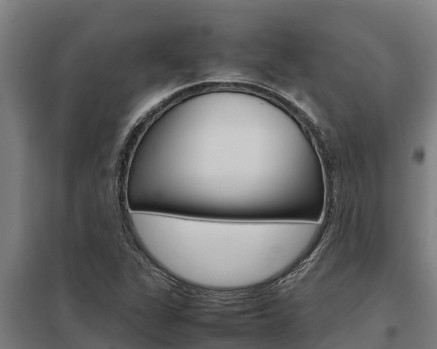 X0000098041311200803280745