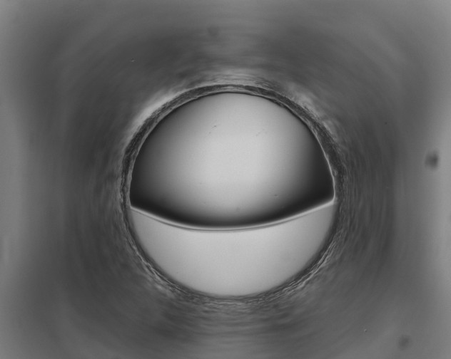 X0000098041312200803280745