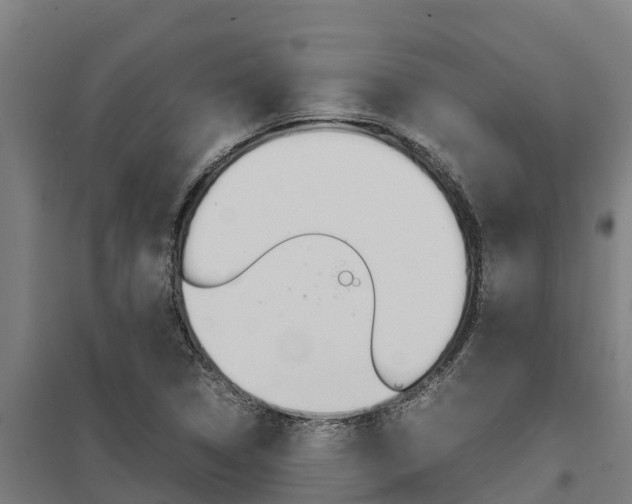 X0000098041314200803280745