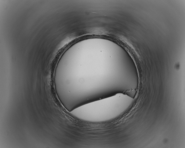 X0000098041315200803280745