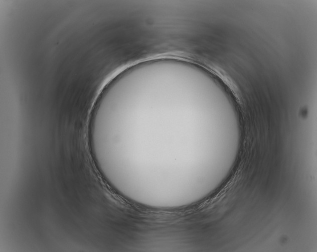 X0000098041316200803280745