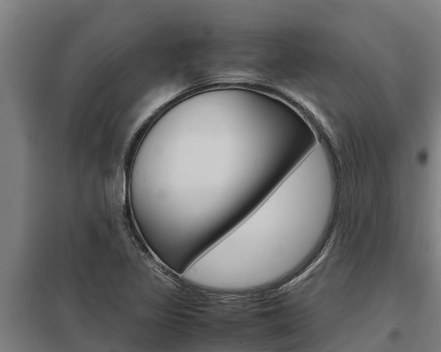 X0000098041317200803280745