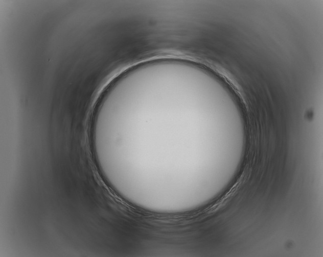 X0000098041318200803280745