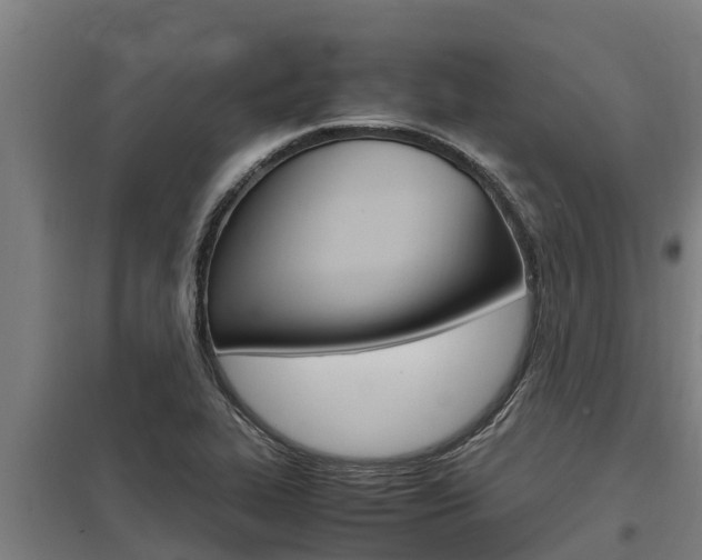 X0000098041319200803280745