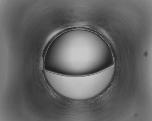 X0000098041320200803280745