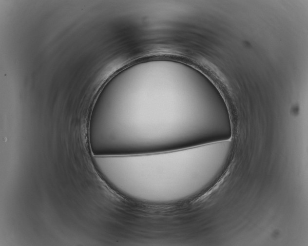 X0000098041321200803280745