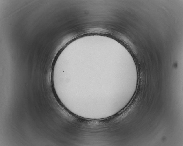 X0000098041322200803280745