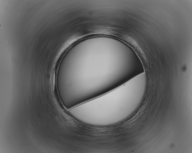X0000098041323200803280745