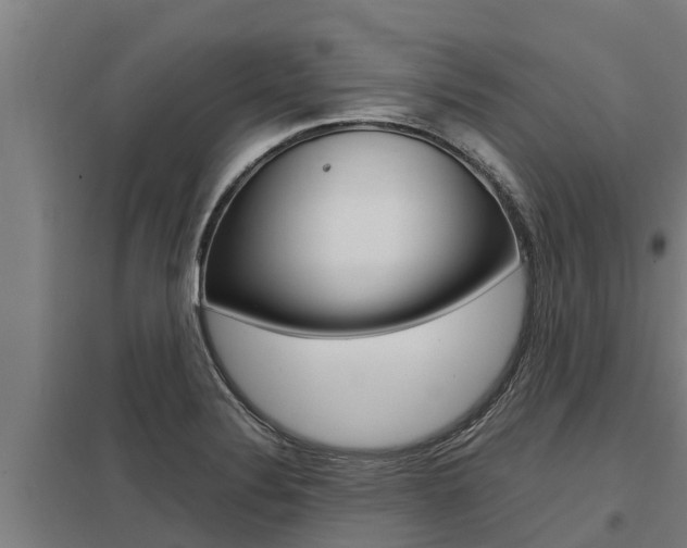 X0000098041324200803280745