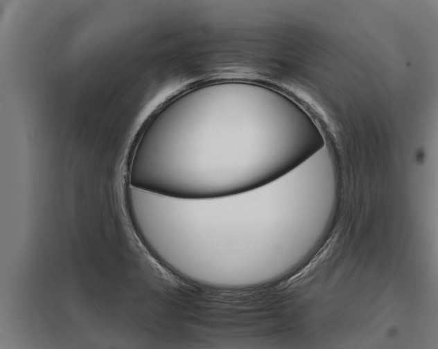 X0000098041325200803280745