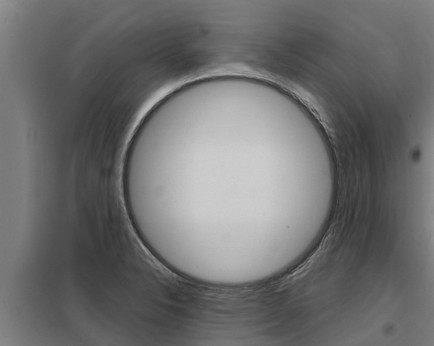 X0000098041326200803280745