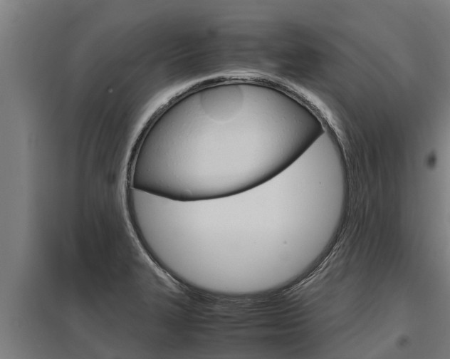 X0000098041327200803280745