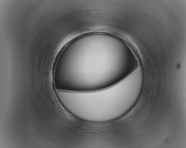 X0000098041328200803280745