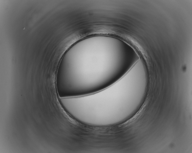 X0000098041329200803280745