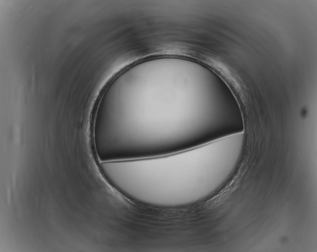 X0000098041331200803280745