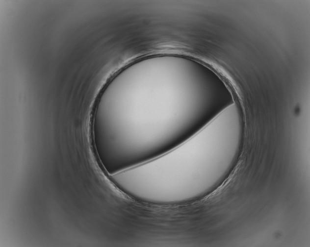 X0000098041333200803280745