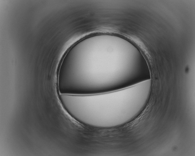 X0000098041335200803280745