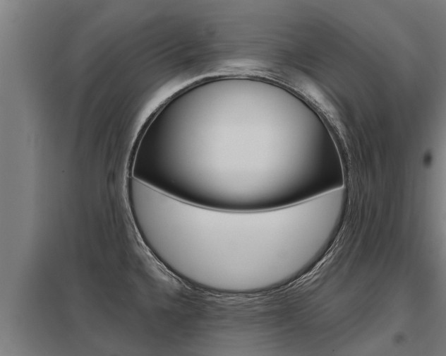 X0000098041336200803280745
