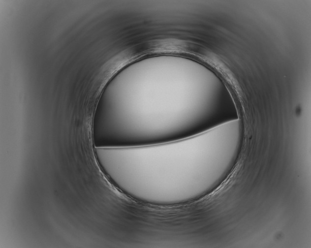 X0000098041337200803280745