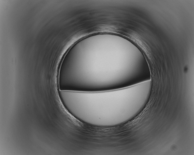 X0000098041339200803280745