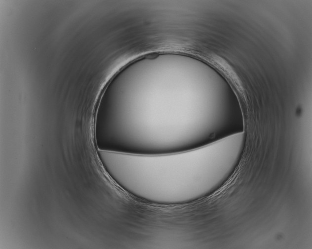 X0000098041340200803280745