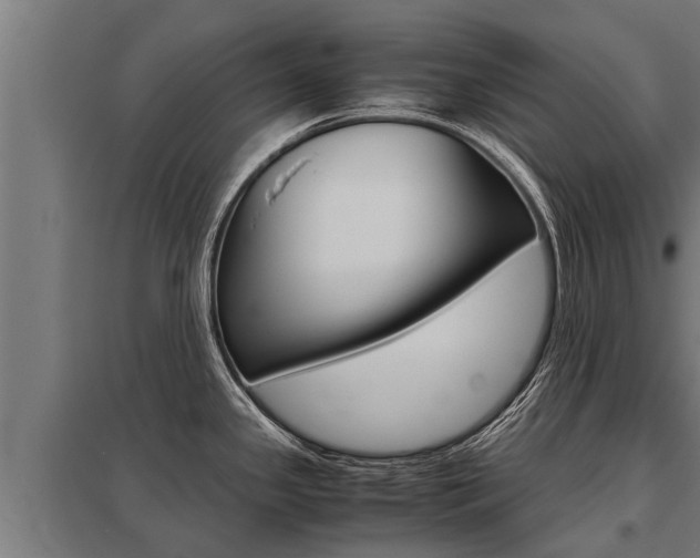X0000098041341200803280745