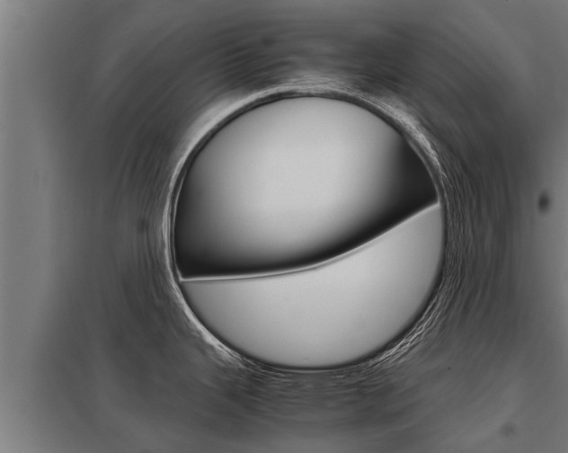 X0000098041343200803280745