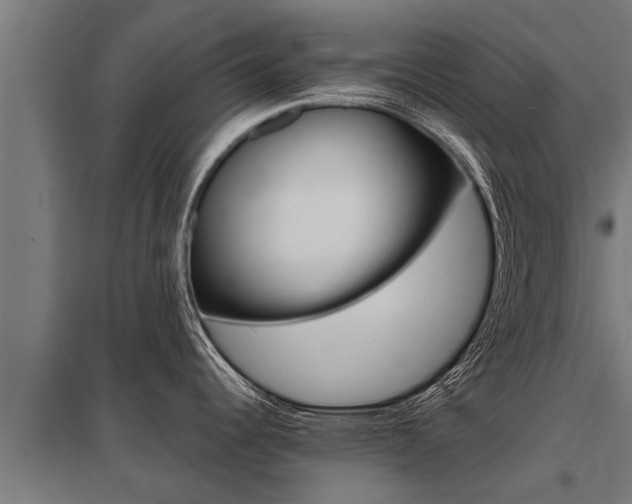 X0000098041344200803280745