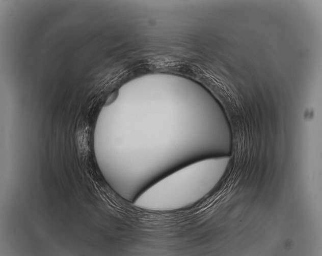 X0000098041346200803280745