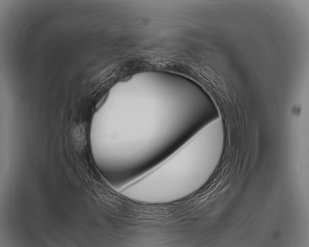 X0000098041347200803280745