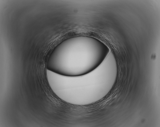 X0000098041348200803280744