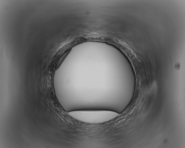 X0000098041350200803280744